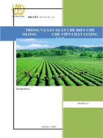 Lập dự án nhà máy sản xuất chè 