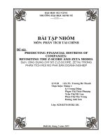 Tiểu luận môn phân tích tài chính ỨNG DỤNG CHỈ số z (z SCORE, ZETA) TRONG PHÂN TÍCH rủi RO PHÁ sản DOANH NGHIỆP 