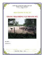 Báo cáo lập dự án trang trại nuôi động vật hoang dã 