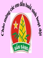 chuyên hiệu An toàn giao thông tuần 21+22