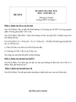 Đề thi và đáp án học kỳ 2 môn sinh học lớp 10 đề số 8 