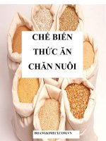 CHẾ BIẾN THỨC ăn CHĂN NUÔI 