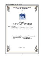 BÁO CÁO THỰC TẬP TỔNG HỢP TẠI QUỸ TÍN DỤNG NHÂN DÂN TRUNG ƯƠNG