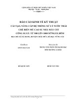 BÁO cáo KINH tế kỹ THUẬT cải tạo, NÂNG cấp hệ THỐNG xử lý nước THẢI CHẾ BIẾN mủ CAO SU NHÀ máy CST CÔNG SUẤT từ 500 lên 1000 M3NGÀY 