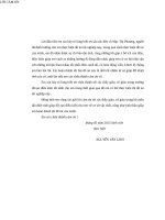 Nghiên cứu vẩn đề đồng bộ trong hệ thống OFDM