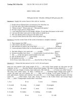 Đề thi thử vào lớp 10 môn tiếng anh đề số 11