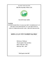 So sánh ảnh hưởng của hai loại thức ăn Hopestar và CP đến khả năng sinh trưởng của lợn thịt nuôi tại Công ty TNHH Ngôi Sao Hy Vọng – Phổ Yên Thái Nguyên