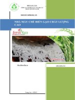 Lập dự án nhà máy chế biến gạo chất lượng cao