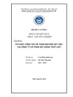 Tổ chức công tác kế toán nguyên vật liệu tại công ty cổ phần xây dựng thuỷ lợi i