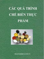 CÁC QUÁ TRÌNH CHẾ BIẾN THỰC PHẨM 