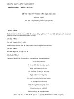 Đề thi thử tốt nghiệp THPT môn văn năm 2012 đề số 11