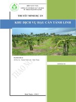 Báo cáo tư vấn lập dự án nông nghiệp   trang trại cây thanh long 