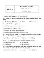 Đề thi và đáp án học kỳ 2 môn sinh học lớp 10 đề số 20 