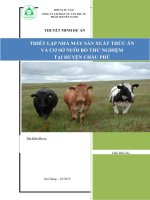 THIẾT lập NHÀ máy sản XUẤT THỨC ăn và cơ sở NUÔI bò THỬ NGHIỆM tại  HUYỆN CHÂU PHÚ 