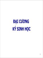 ĐẠI CƯƠNG KÝ SINH HỌC