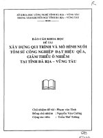 Xây dựng quy trình và mô hình nuôi tôm sú công nghiệp đạt hiệu quả, giảm thiểu ô nhiễm tại tỉnh bà rịa vũng tàu