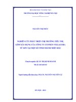 Nghiên cứu phát triển thị trường tiêu thụ gốm xây dựng của công ty cổ phần viglacera từ sơn tại một số tỉnh thành miền bắc 
