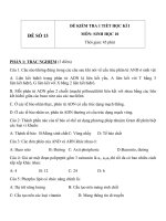 Đề KT 1 tiết HK1 sinh học 10   đề số 13 