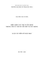 Điều kiện cực trị và ổn định trong tối ưu véctơ với thứ tự suy rộng 