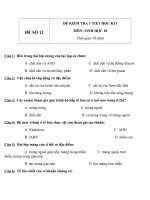 Đề KT 1 tiết HK1 sinh học 10   đề số 12 