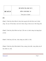 Đề KT HK1 sinh học 10   đề số 29 