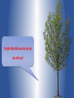 ĐỊNH LÝ TALÉT TRONG TAM GIÁC (HÌNH HỌC 8)