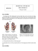 Đề KT 1 tiết HK1 sinh học 10   đề số 14 