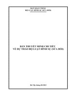 BẢN THUYẾT MINH CHI TIẾT   VỀ DỰ THẢO BỘ LUẬT HÌNH SỰ (SỬA ĐỔI)