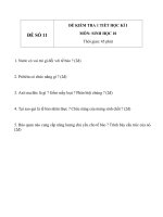Đề KT 1 tiết HK1 sinh học 10   đề số 11 