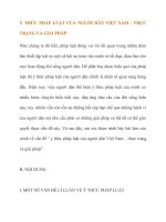 Ý THỨC PHÁP LUẬT của NGƯỜI dân VIỆT NAM   THỰC TRẠNG và GIẢI PHÁP