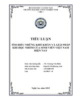 TÌM HIỂU NHỮNG KHÓ KHĂN và GIẢI PHÁP KHI học NHÓM của SINH VIÊN VIỆT NAM HIỆN NAY