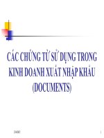 Bài giảng Quản trị ngoại thương: Các chứng từ sử dụng trong kinh doanh xuất nhập khẩu  Võ Thị Xuân Hạnh