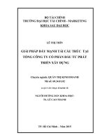 Giải pháp đẩy mạnh tái cấu trúc tại tổng công ty cổ phần đầu tư phát triển xây dựng  luận văn thạc sĩ 