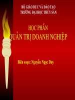 Tài Liệu Quản Trị Doanh Nghiệp – Nguyễn Ngọc Duy