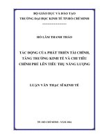 Tác động của phát triển tài chính, tăng trưởng kinh tế và chi tiêu chính phủ lên tiêu thụ năng lượng 