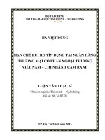 Hạn chế rủi ro tín dụng tại ngân hàng thương mại cổ phần ngoại thương việt nam   chi nhánh cam ranh luận văn thạc sĩ 
