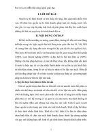 TIỂU LUẬN QUYỀN TỰ DO KINH DOANH