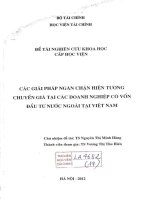 các giải pháp ngăn chặn hiện tượng chuyển giá tại các doanh nghiệp có vỗn đầu tư nước ngoài tại việt nam
