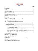 SKKN Biện pháp làm tốt công tác chủ nhiệm lớp 5