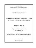 Phát triển nguồn nhân lực công ty TNHH MTV cao su thống nhất đến năm 2020 