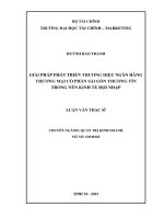 Giải pháp phát triển thương hiệu ngân hàng thương mại cổ phần sài gòn thương tín trong nền kinh tế hội nhập 