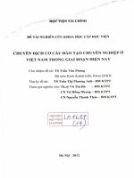 chuyển dịch cơ cấu đào tạo chuyên nghiệp ở việt nam trong giai đoạn hiện nay