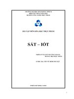 Bài tập môn hóa học thực phẩm sắt –  iốt