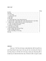 Nguyên nhân vi phạm pháp luật về giao thông đường bộ và giải pháp