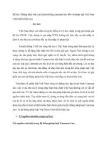 Những khác biệt của truyền thống common law đối với pháp luật Việt Nam ở thời điểm hiện nay