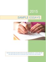 Sample essays vietnam 2015 (band 8)