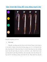 Quy trình đặt bóng đối xung động mạch chủ 