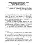 HỆ THỐNG ROBOT điều KHIỂN từ XA sử DỤNG THIẾT bị PHẢN hồi lực 