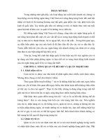 Tiểu luận quản trị rủi ro ngân hàng quốc tế 