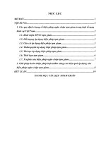 Tạm giam trong tố tụng hình sự và việc hoàn thiện pháp luật nhằm nâng cao hiệu quả áp dụng biện pháp này